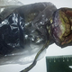Illustration for article titled A Crazy Woman Kept a Rotting Vegetable in Her Fridge for Two Years Because She Thought It Was an Alien